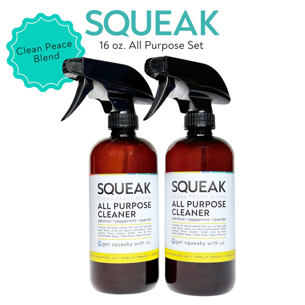 ALL PURPOSE Clean Peace Blend | patchouli + peppermint + lavender | Set of TWO