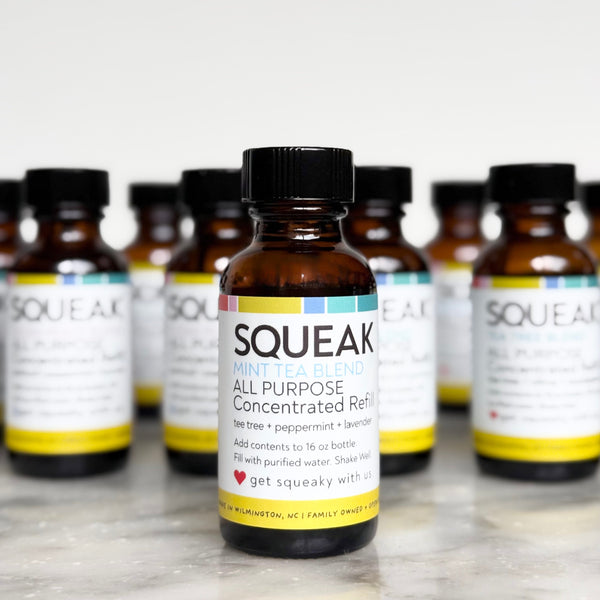 Set of TWO | ALL PURPOSE Mint Tea Blend Concentrated Refill | peppermint + tea tree + lavender