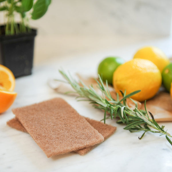 ALL PURPOSE Tea Tree Blend | tea tree + citrus + eucalyptus